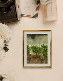 Original - Lemon Trees