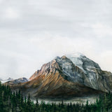 Print - Mount Temple