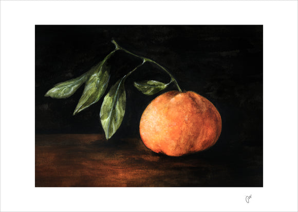 The Still Collection: Citrus Print