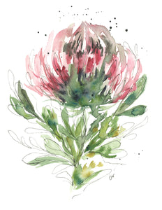 Abstract Protea