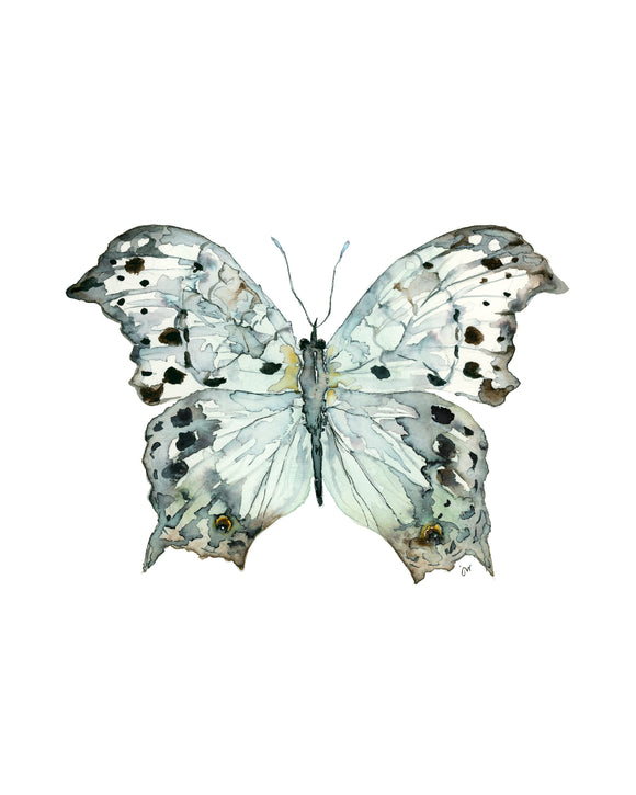 Print - The Pollinator