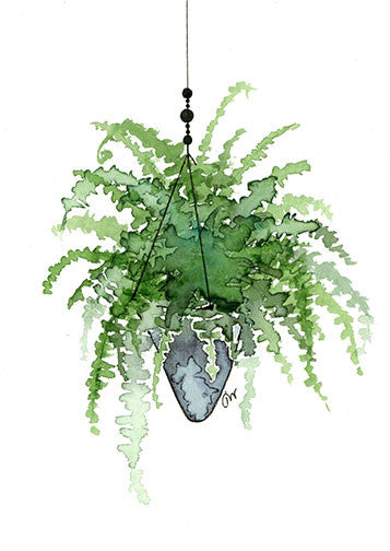 Print - Hanging Fern 1