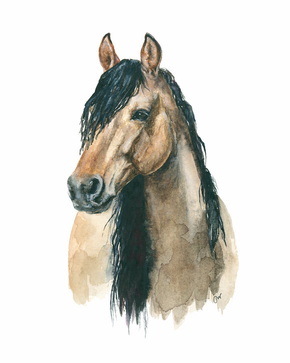 Print - Hay, Why the Long Face?