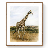 Into the Wild: Graceful - Print