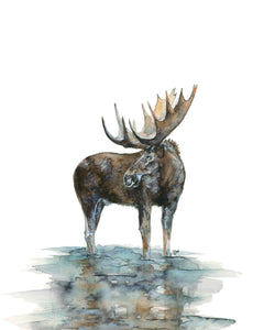 Print - Don't Moose With Me