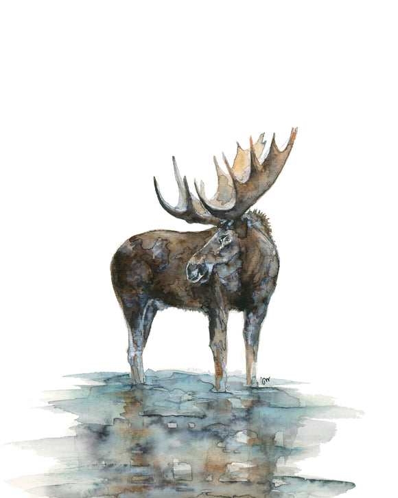 Print - Don't Moose With Me