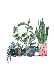 Plant Family