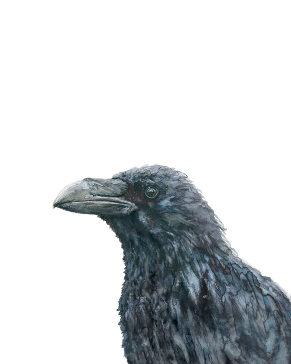 NEW PRINT - Black Bird