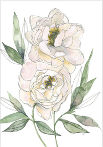 Card - White Peonies